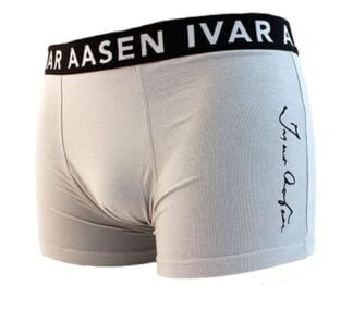 Ivar Aasen-boksar herre lysgrå