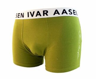 Ivar Aasen-boksar herre militærgrøn