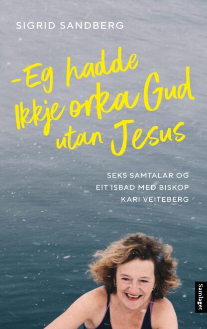 Eg hadde ikkje orka Gud utan Jesus: seks samtalar og eit isbad med biskop Kari Veiteberg