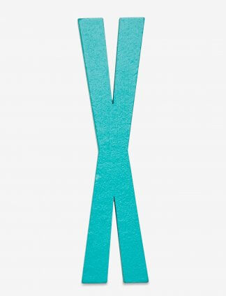 Design Letters bokstav – X turkis