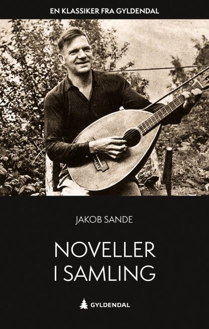 Bilete av boka Noveller i samling av Jakob Sande