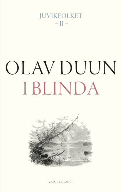 boka i blinda av olav duun