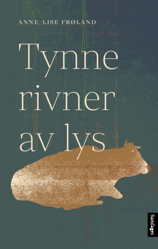 boka Tynne rivner av lys