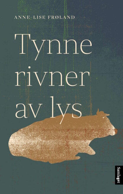 boka Tynne rivner av lys